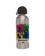Botella Harry Potter plateada
