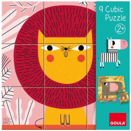 9 Cubic Puzzle